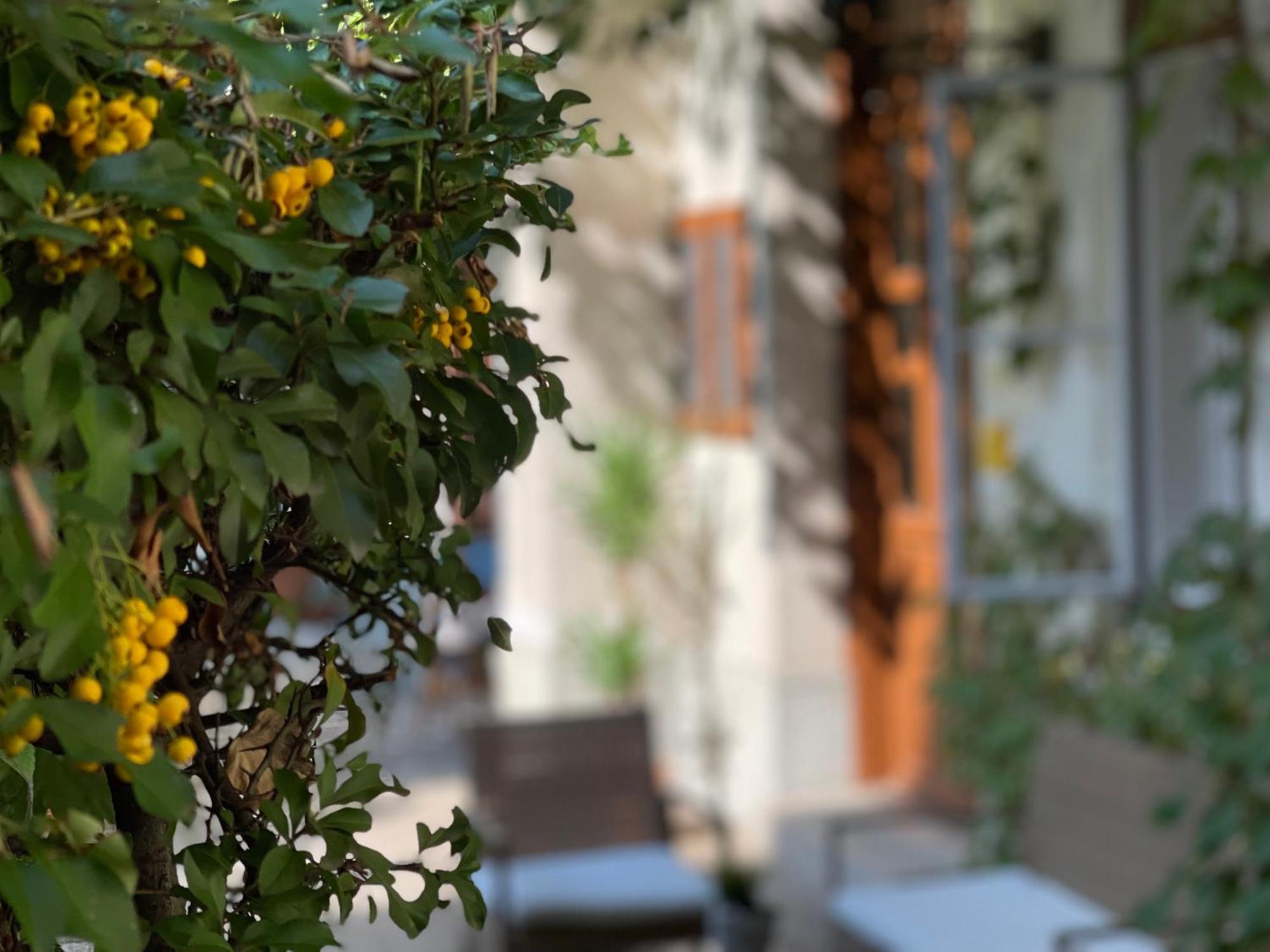 Palms Apartments בודפשט חדר תמונה
